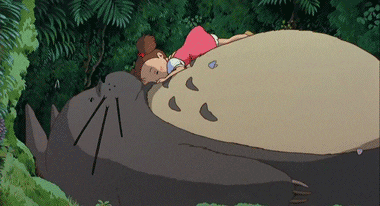 Totoro Sleep